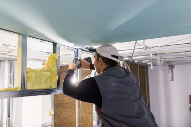 Best Eco-Friendly Insulation in Bethlehem, WV
